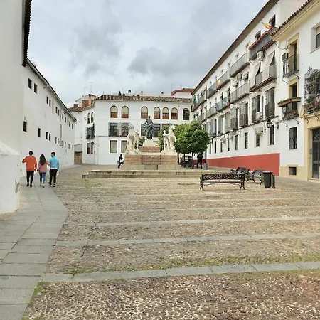 Ollerías, 31 Apartamento Córdova